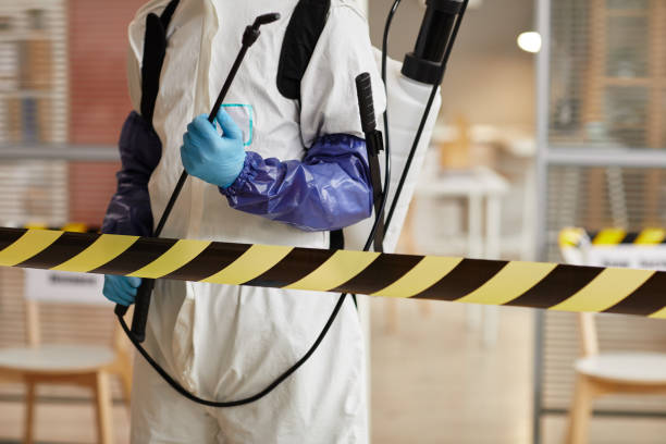 Professional Blood Cleanup technician working in Pointblank, TX