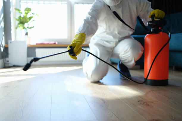 Reliable Blood Cleanup contractor in Pointblank, TX by Trauma Clean Pros